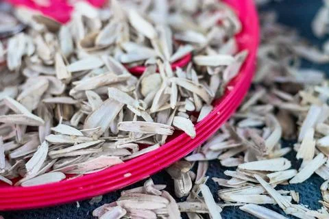 Shells of Sunflower Core on a red plate . in a heap. chat concept Stock Photos