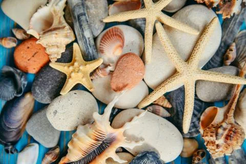 Shells texture. summer concept. close up Foto stock