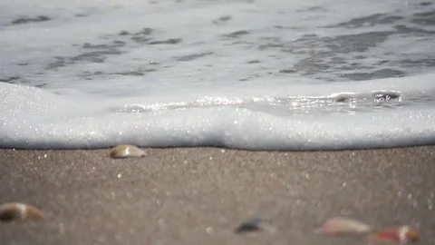 Shells Washed Away Diamonds Stock Footage 76762361