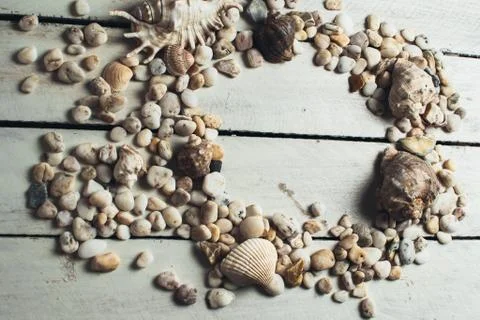 Shells on white wooden background Foto stock