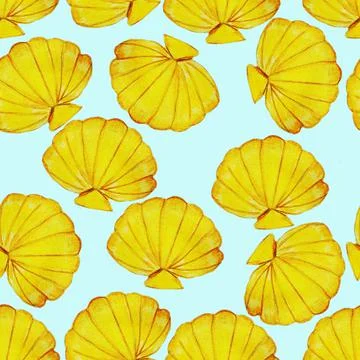 Shells,clams Stock Illustration