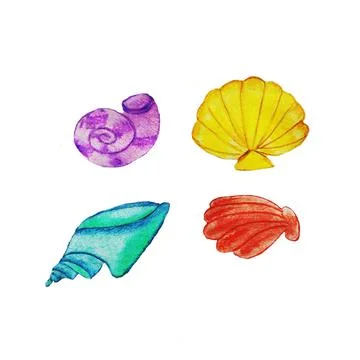 Shells,clams Stock Illustration