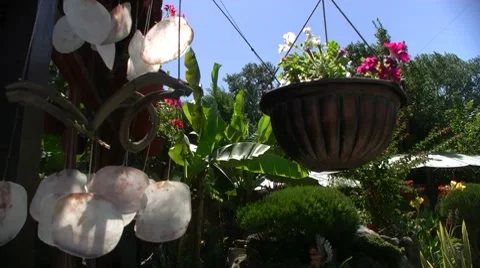 Shelly chime Video stock 8601348