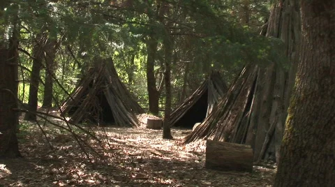 Shelter 2 Stock Footage 479115