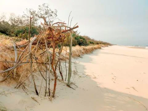 Shelter on a beach made from sticks and branches Stock Photos