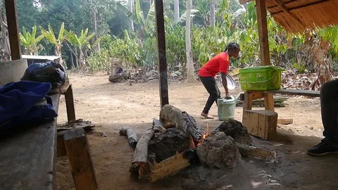 Shelter in a forest camp Stock Footage 80553925