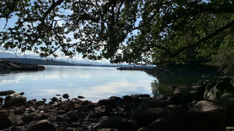 Sheltered bay view from hidden canopy Stock Footage 146994457