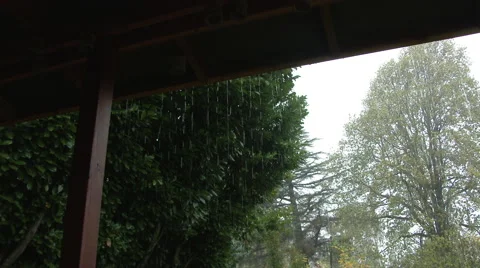 Sheltered From Rain Storm Stock Footage 56603412