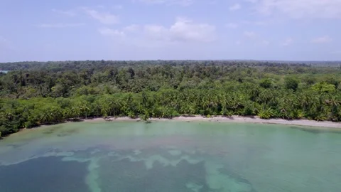 Sheltered Starfish Beach water bordered by tropical forest Vídeo Stock 345631203