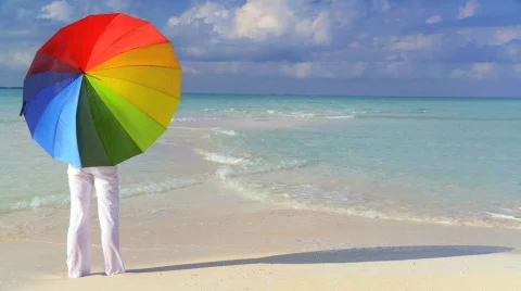 Sheltering in Paradise Stock Footage 546064