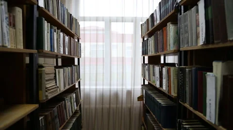 Shelves of books in library Stock-Footage 54275705
