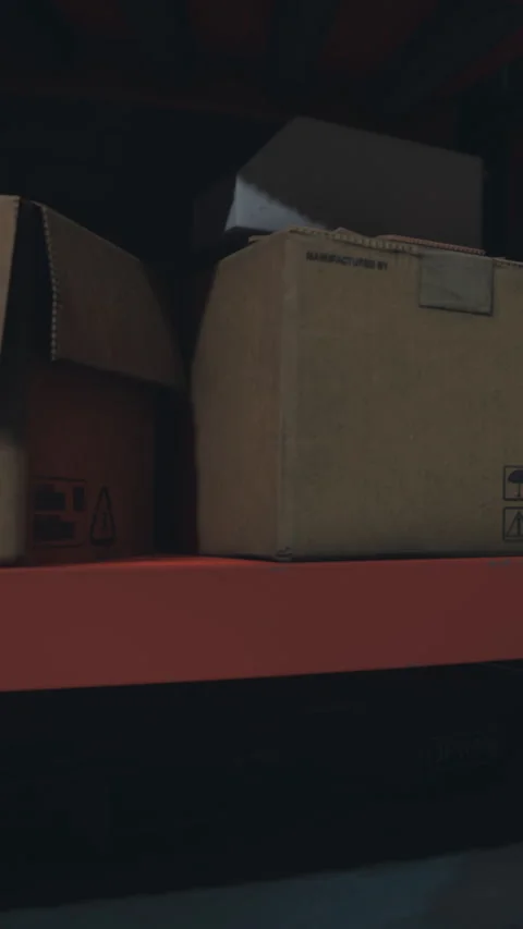 Shelves with cardboard boxes arranged in a storage area during daylight Stock Footage 338373863