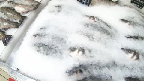 The shelves with fish Stock Footage 135190982