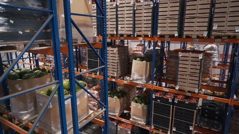 Shelves with vegetables in stock Stock Footage 121189482
