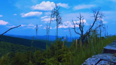 Shenandoah Mountains 스톡 동영상 128003540