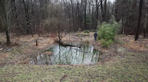 Shenandoah Pond Stock Footage 10713794