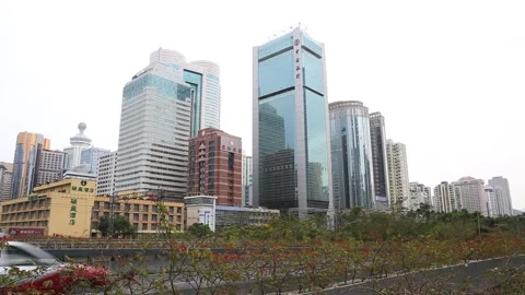 Shenzhen City Scene Stock Footage 203529404