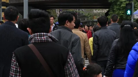 Shenzhen City Scene Stock Footage 203530720