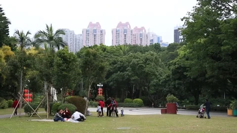 Shenzhen City Scene Stock Footage 203535463
