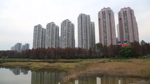 Shenzhen City Scene Stock Footage 203535650