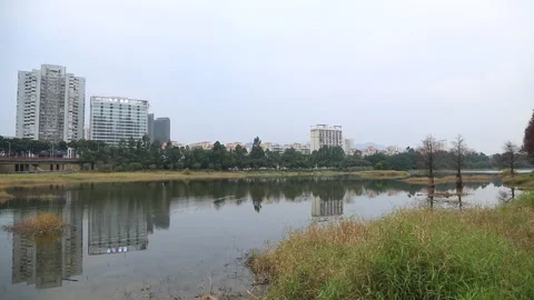 Shenzhen City Scene Video stock 203536744