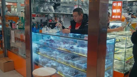 Shenzhen Electronics Market Vendor Sorting Small Camera Parts at Glass Display Stock Footage 333973354