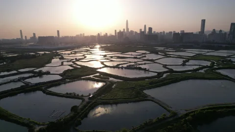 Shenzhen Stock Footage 181554825