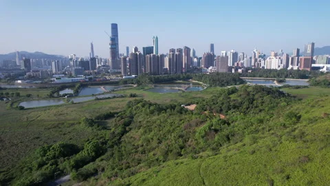 Shenzhen Stock Footage 181561335