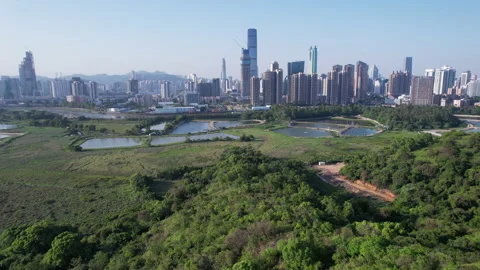 Shenzhen Stock Footage 181564895