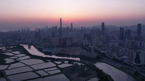 Shenzhen skyline Video stock 181407224