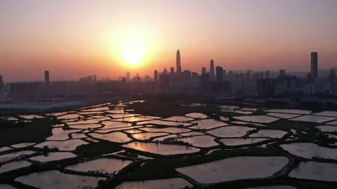 Shenzhen skyline Video stock 181423328
