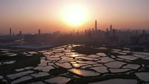 Shenzhen skyline Stock Footage 181449359
