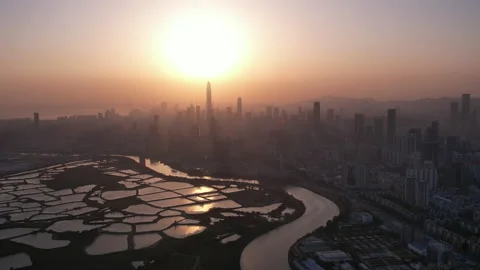 Shenzhen skyline Stock Footage 181464594