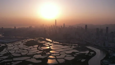 Shenzhen skyline Stock Footage 181470803