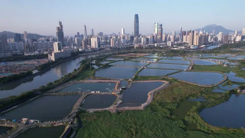 Shenzhen skyline Stock Footage 181521999
