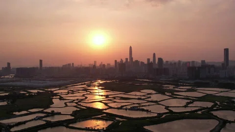 Shenzhen skyline Stock Footage 182235684