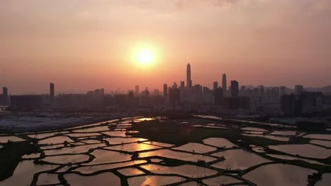 Shenzhen skyline Stock Footage 182243422