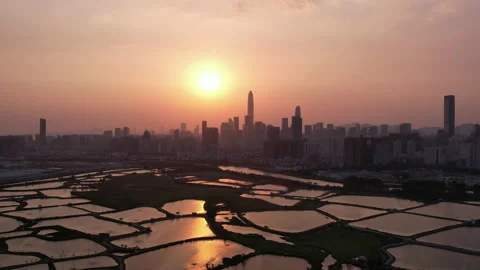 Shenzhen skyline Stock Footage 182257424