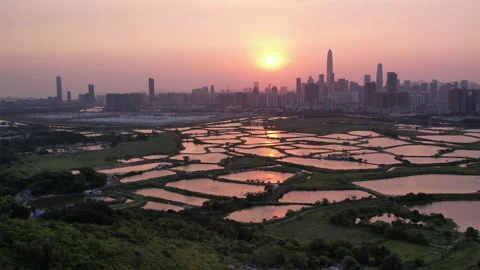 Shenzhen skyline Stock Footage 182316014