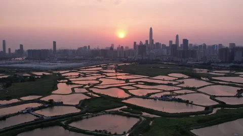 Shenzhen skyline Stock Footage 182333714