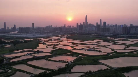 Shenzhen skyline Stock Footage 182339111