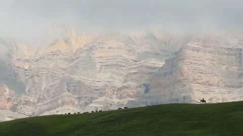 Shepherd 60fps Stock Footage 157731577
