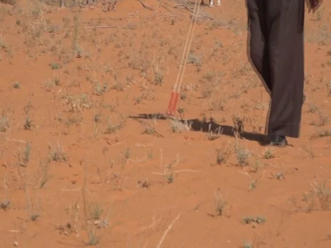 The shepherd and camels Stock Footage 112787459