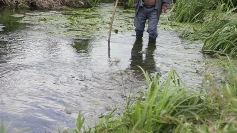 The Shepherd Crosses The River Stock Footage 92025905