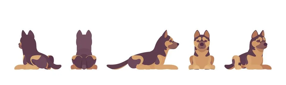 Shepherd dog lying Stock Illustration