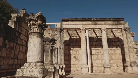 Shepherd With Flock Of Sheep Stock Footage 226406171