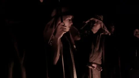 Shepherd 库存影片 10731141