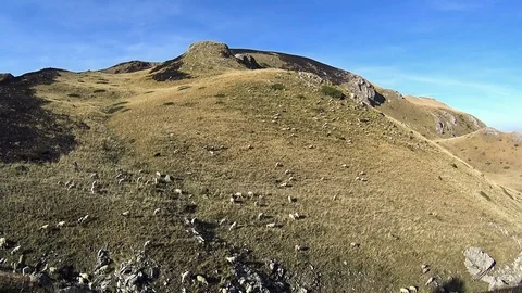 Shepherd with herd of sheep in Macedonian mountains, Macedonia Video stock 81109151