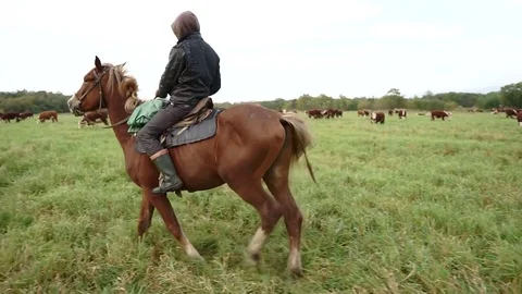 A shepherd on horseback Stock Footage 76834091
