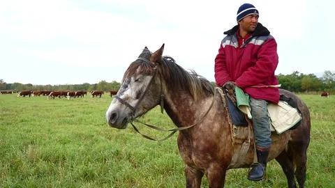 A shepherd on horseback  Stock Footage 77715707